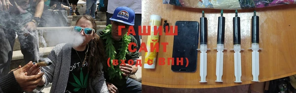индика Коряжма