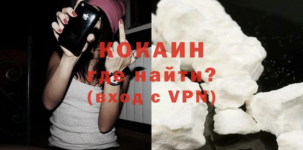 индика Коряжма