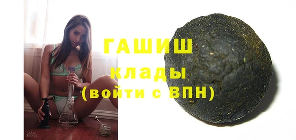 индика Коряжма