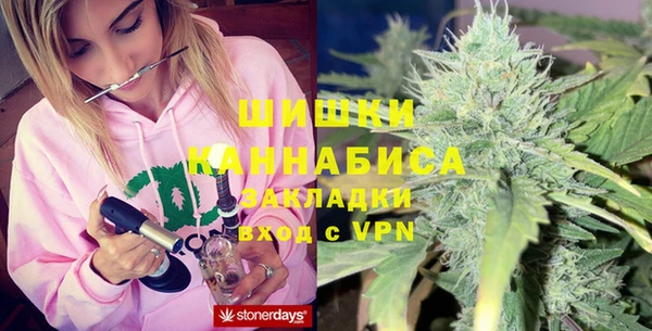 прущие грибы Корсаков
