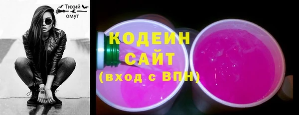 индика Коряжма
