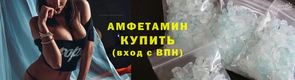 индика Коряжма