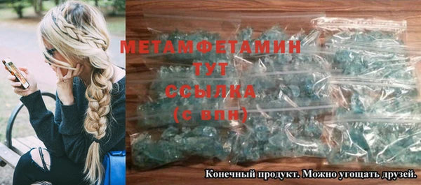 прущие грибы Корсаков