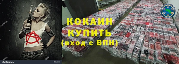 прущие грибы Корсаков