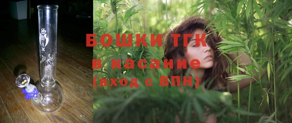 индика Коряжма