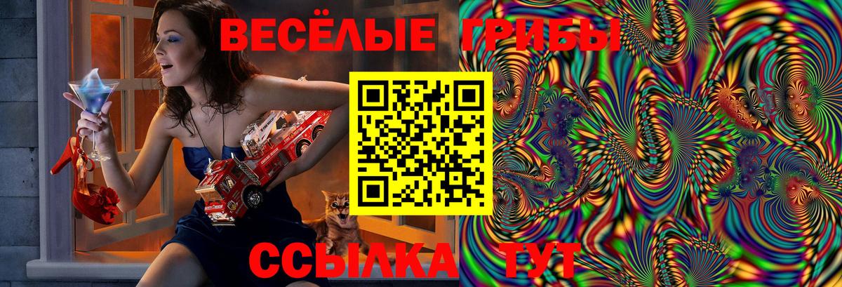 Псилоцибиновые грибы Magic Shrooms  Вход с VPN  Кохма 