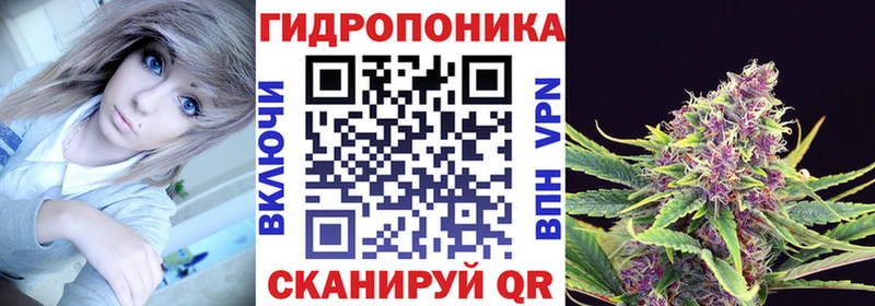 продажа наркотиков  Кохма  площадка наркотические препараты  Бошки марихуана OG Kush 